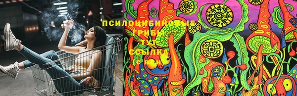 Альфа ПВП Арсеньев