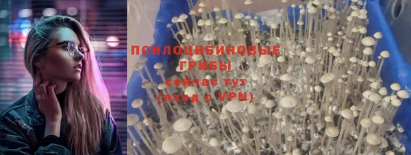 apvp Алексеевка