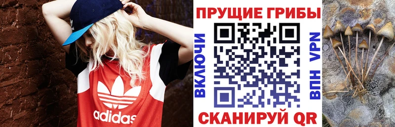 Галлюциногенные грибы прущие грибы  Артёмовский 