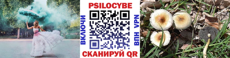 Галлюциногенные грибы Psilocybine cubensis Артёмовский