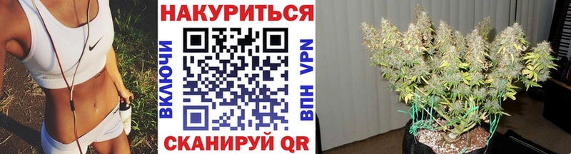 цена Артёмовский Шишки марихуана VHQ